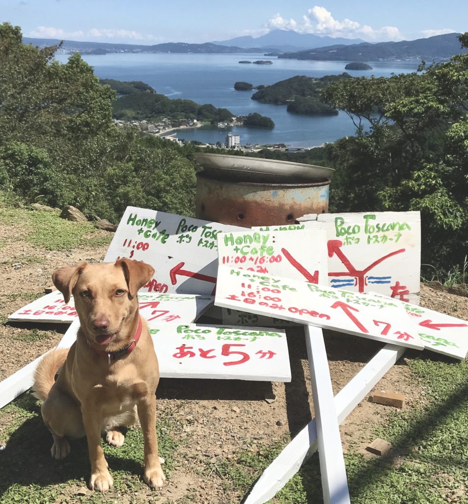 先日、古くなっていたので看板犬のセリと一緒に書き換えました。
